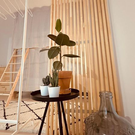 Saone Guesthouse & Coworking 埃里塞拉 外观 照片