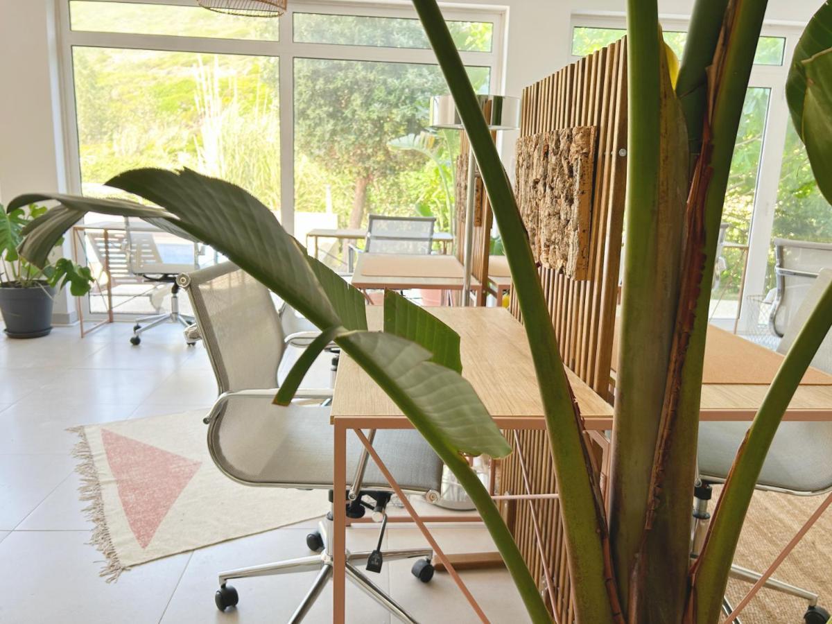 Saone Guesthouse & Coworking 埃里塞拉 外观 照片