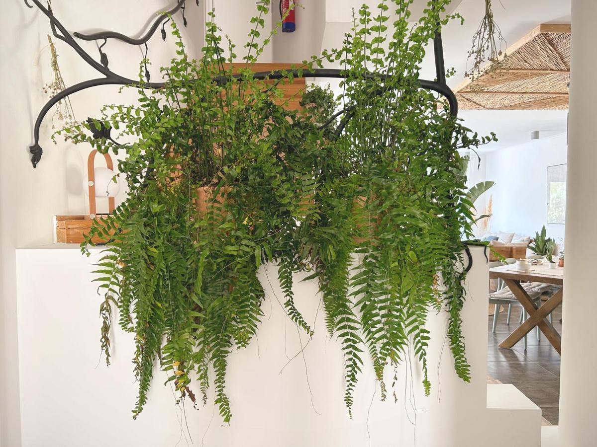 Saone Guesthouse & Coworking 埃里塞拉 外观 照片