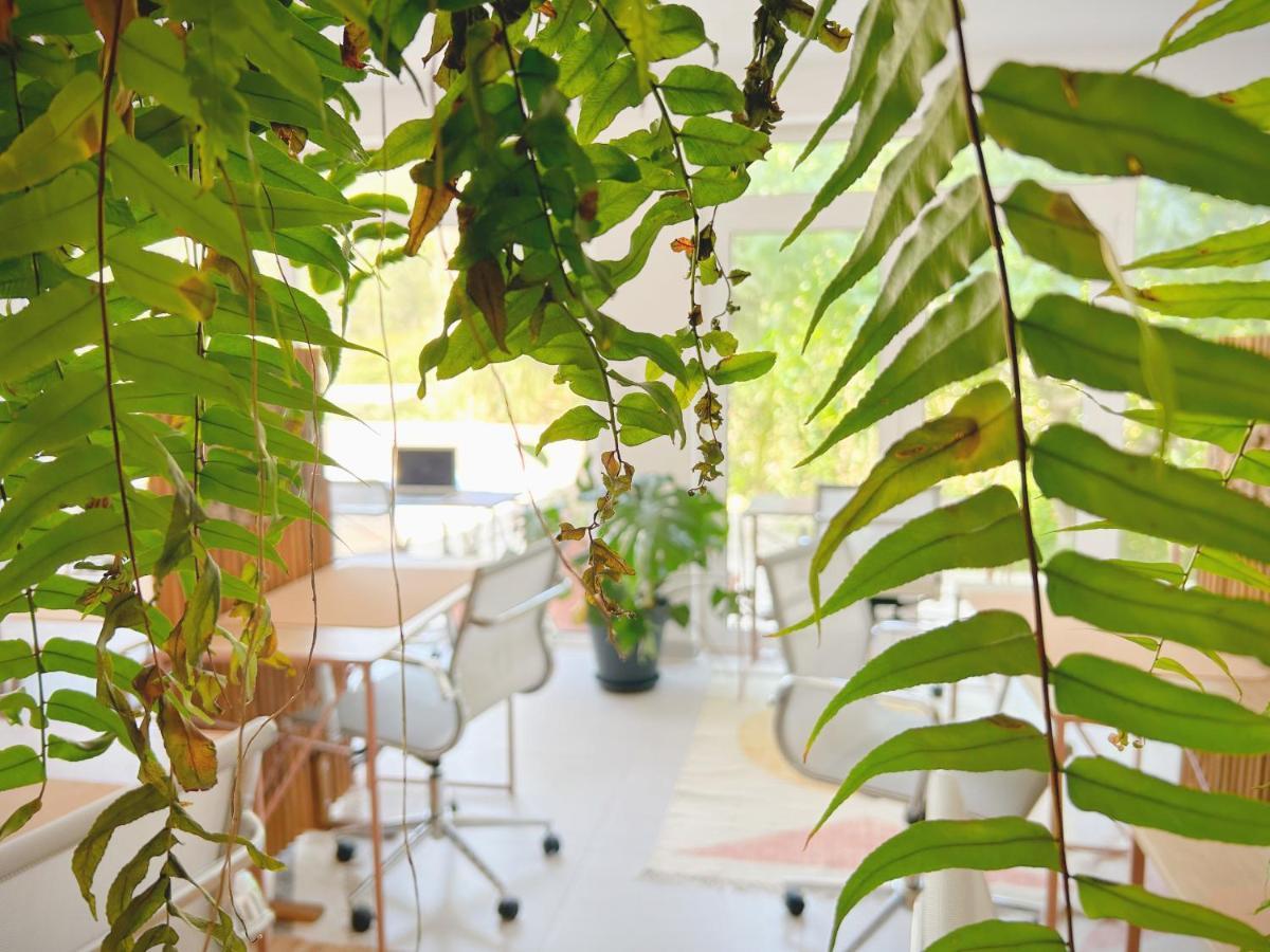 Saone Guesthouse & Coworking 埃里塞拉 外观 照片
