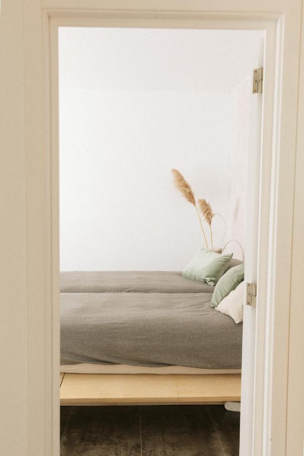 Saone Guesthouse & Coworking 埃里塞拉 外观 照片
