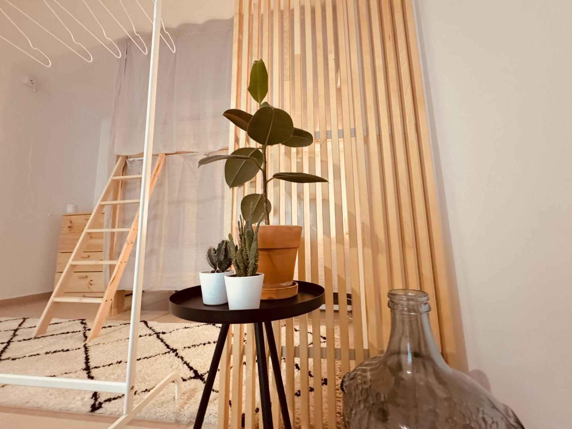 Saone Guesthouse & Coworking 埃里塞拉 外观 照片